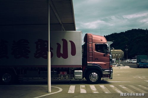 严查大吨小标：蓝牌专用车上牌难与道路货物运输的挑战